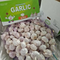 High Quality Bulk Garlic Hot Sales